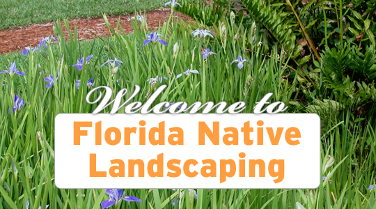 Welcome to Florida Native Landscaping