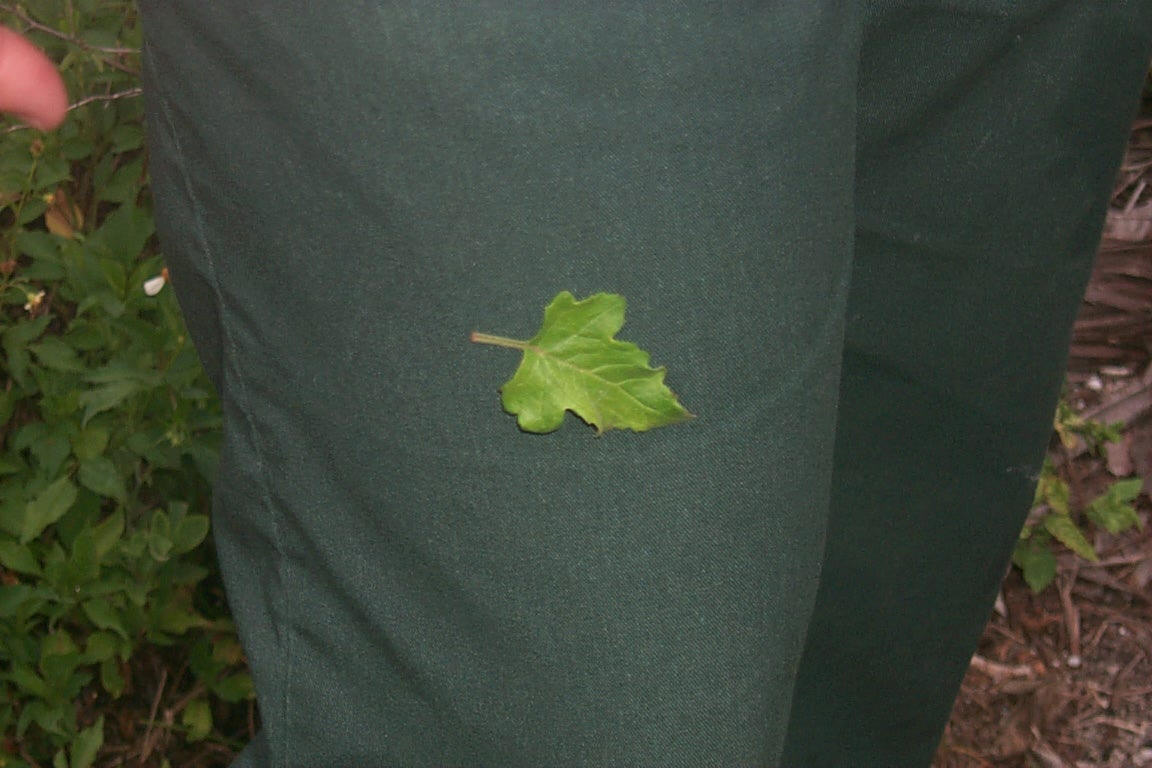 poormanspatch.jpg (128598 bytes)