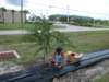 irrigation_small.jpg