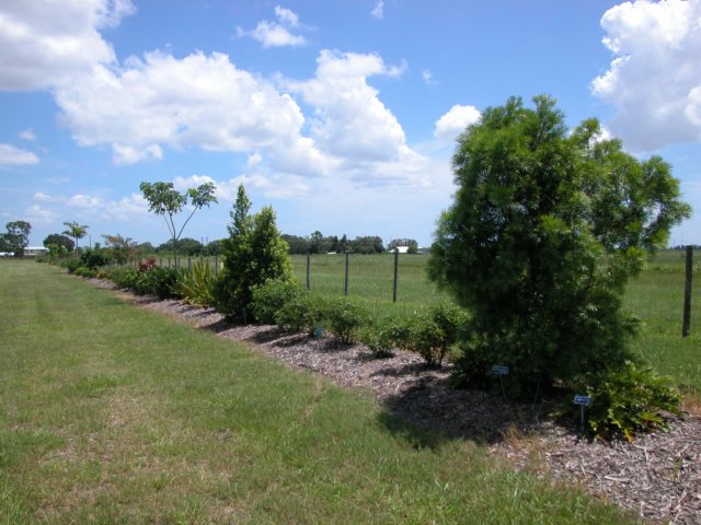 viewoflineargarden.jpg