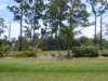 viewoflineargarden2_small.jpg