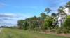 viewoflineargarden4_small.jpg