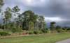 viewoflineargarden5_small.jpg