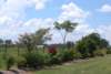 viewoflineargarden71920073_small.jpg