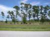 viewoflineargarden71920076_small.jpg