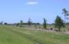 viewoflineargarden72420062_small.jpg