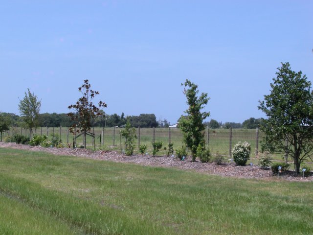 viewoflineargarden72420063.jpg