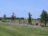 viewoflineargarden72420063_small.jpg