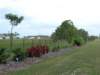 viewoflineargarden72420064_small.jpg