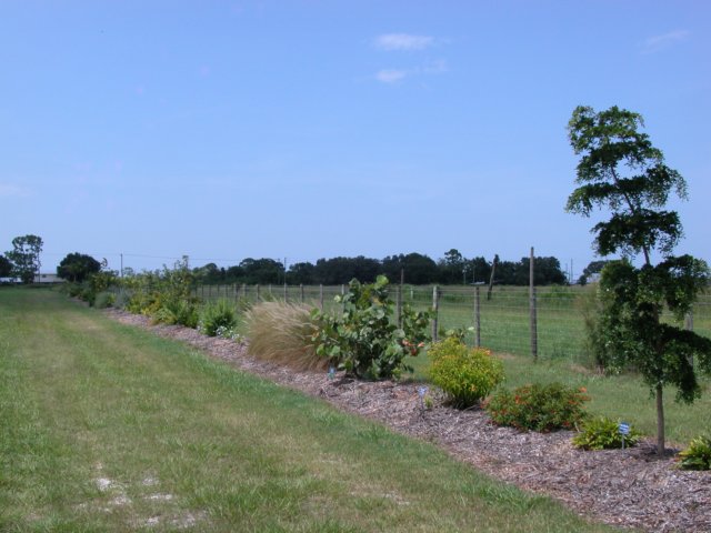 viewoflineargarden72420065.jpg