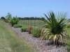 viewoflineargarden72420066_small.jpg