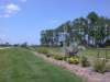 viewoflineargarden7242006_small.jpg