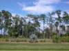 viewoflineargarden72520072_small.jpg