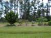 viewoflineargarden7252007_small.jpg