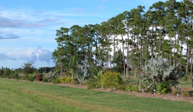 viewoflineargarden91920072.jpg
