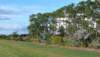 viewoflineargarden91920072_small.jpg