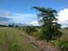 viewoflineargarden9192007_small.jpg