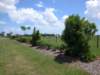 viewoflineargarden_small.jpg
